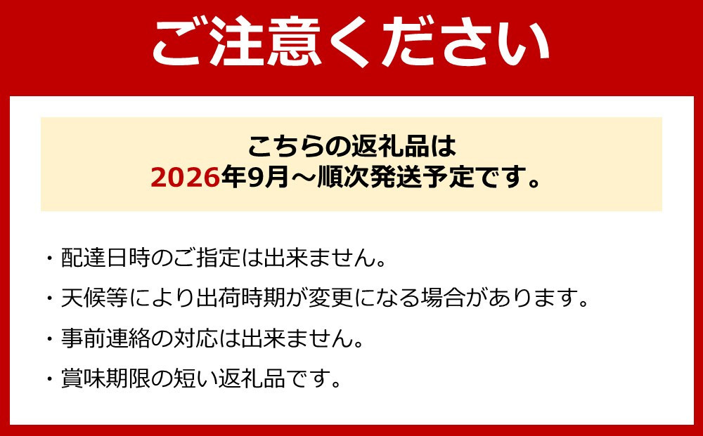 シャインマスカット、豊水梨　詰め合わせ約3kg箱