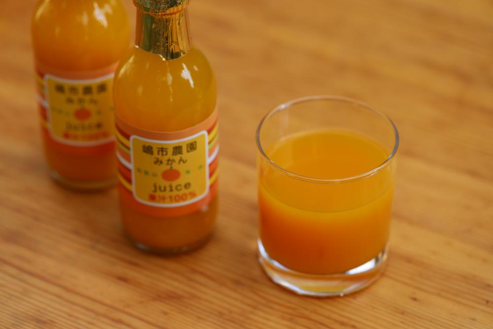 100％ みかんジュース 200ml 合計10本 セット ストレート 無添加 嶋市農園 ｜ 和歌山有田 丸絞り 和歌山 有田 国産 果汁