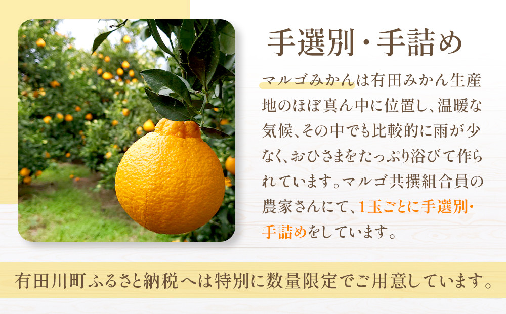 JA和歌山 マルゴ共撰 デコポン 24玉入り Lサイズ 5kg箱