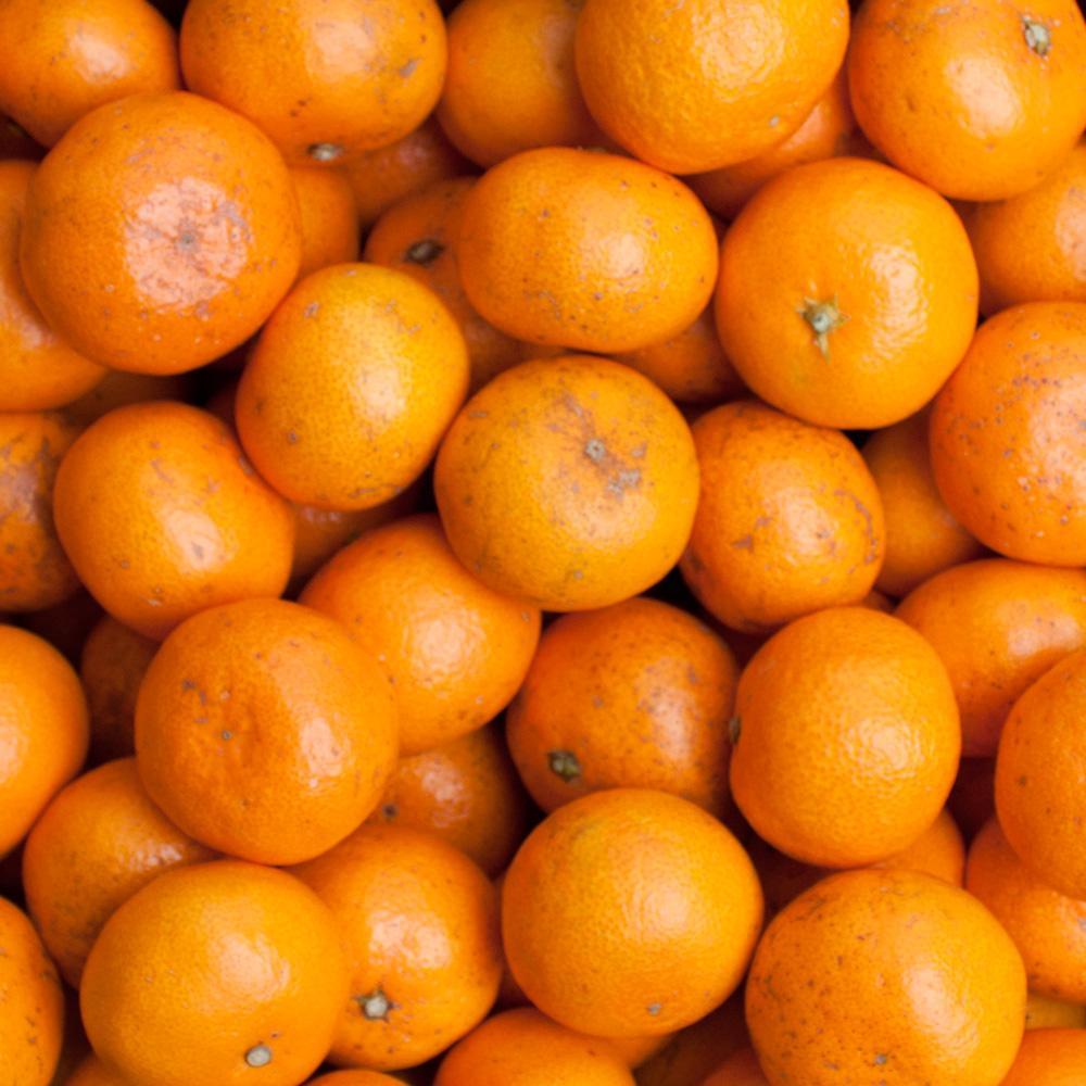 家庭用 小玉 有田みかん2.5kg+250g（傷み補償分）