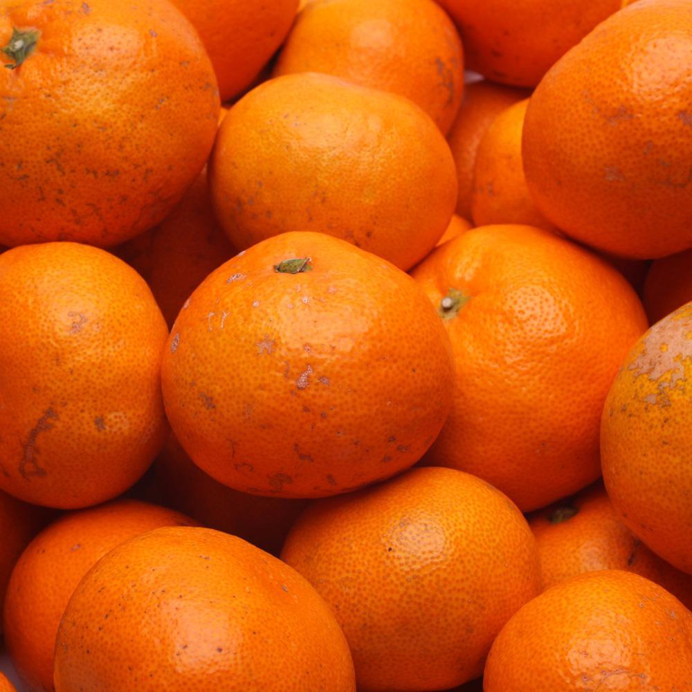 家庭用 熟成みかん1kg+250g（傷み補償分）