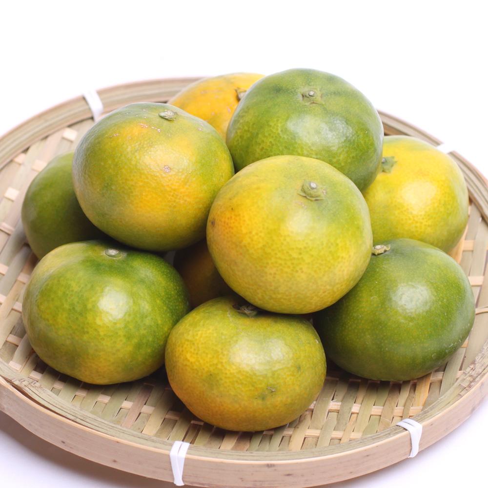 プレミアム 有田みかん（ゆら早生）1kg+250g（傷み補償分）