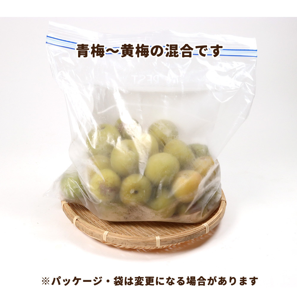 家庭用 冷凍梅 約1kg 紀州 南高梅 青梅 黄梅 完熟梅 訳あり