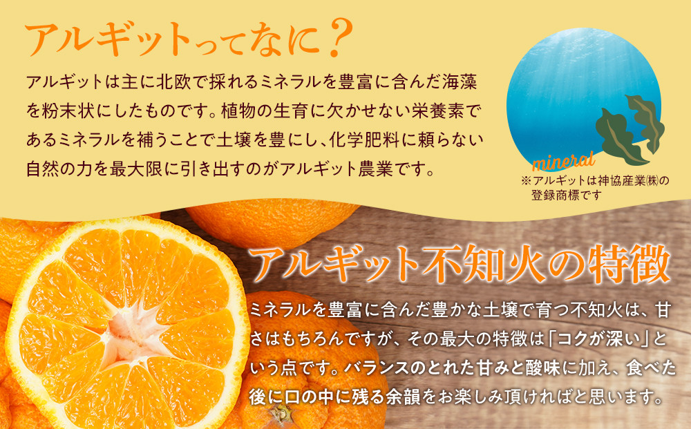 アルギット 不知火 約1.5kg 中玉 サイズ（7～8玉）| 先行予約 不知火 デコ みかん 甘い おいしい ジューシー 完熟 期間限定 数量限定 フルーツ 果物 柑橘 人気 おすすめ 高級 こだわり ギフト 旬 お取り寄せ 送料無料 和歌山 有田川町