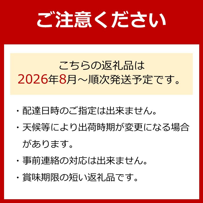 先行予約 和歌山 有田産 巨峰 約2kg 4〜7房 ぶどう フルーツ 果物［2026年8月下旬以降発送］