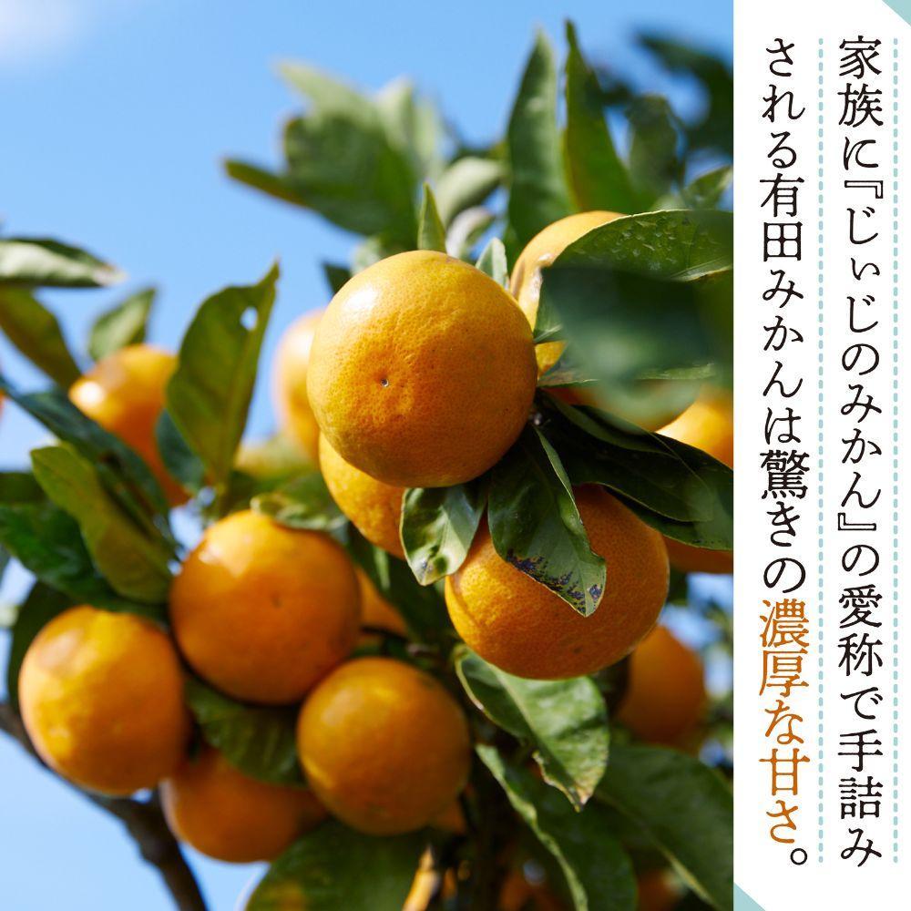本場有田みかん じぃじのみかん10kg