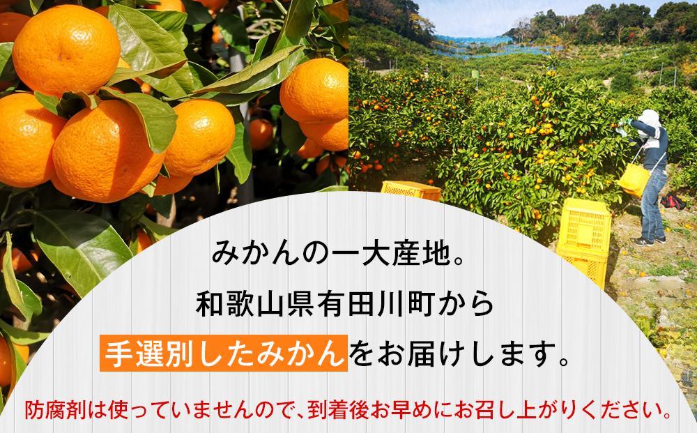 有田みかん 早生みかん 秀品または優品 約5kg S～2Lサイズ混合 としみ農園