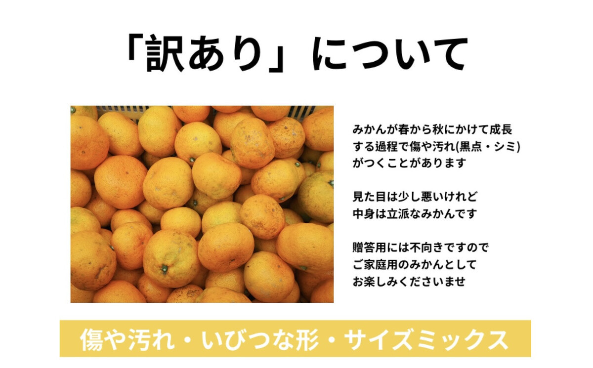 【訳あり】有田みかん 約3kg 家庭用