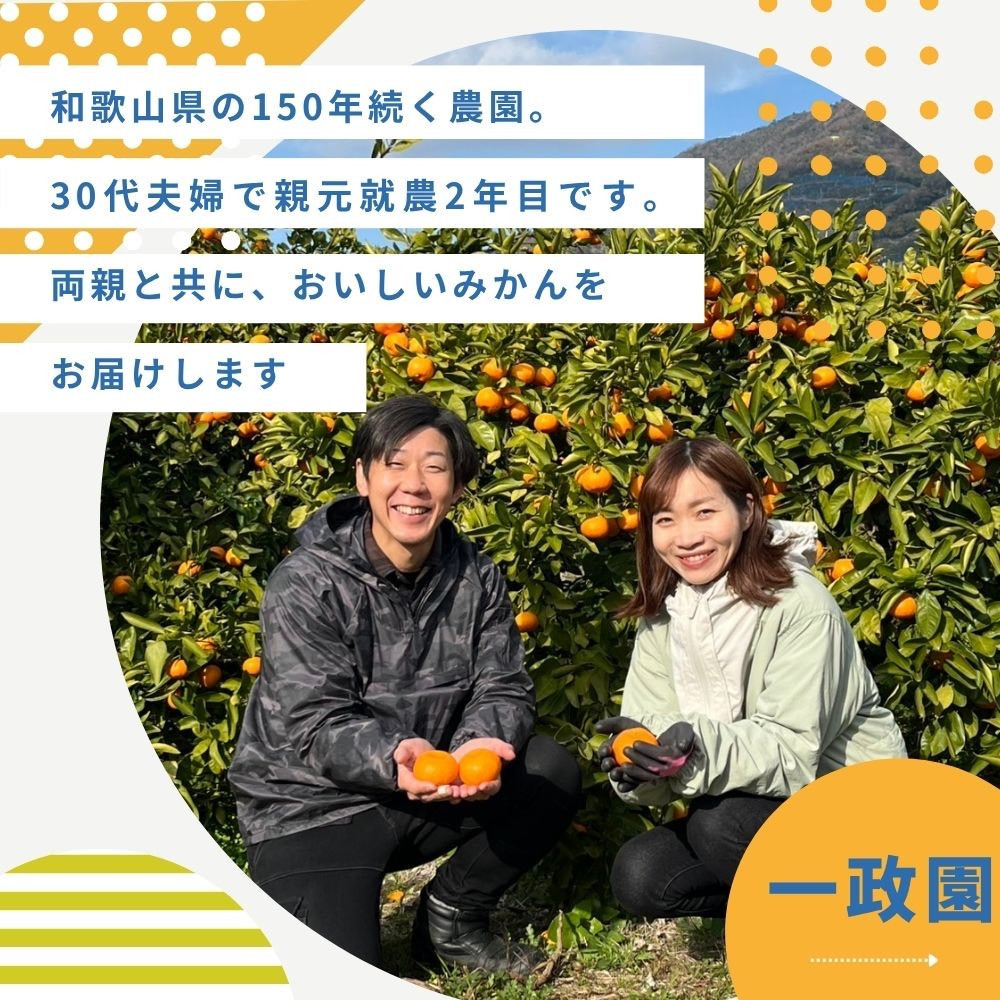 【ふるさと納税】【先行予約】有田みかん 早生 温州みかん 4.6kg（箱込み5kg） 家庭用 S～２Lサイズ 混合 柑橘 フルーツ みかん 産地直送 お取り寄せ 送料無料 温州ミカン