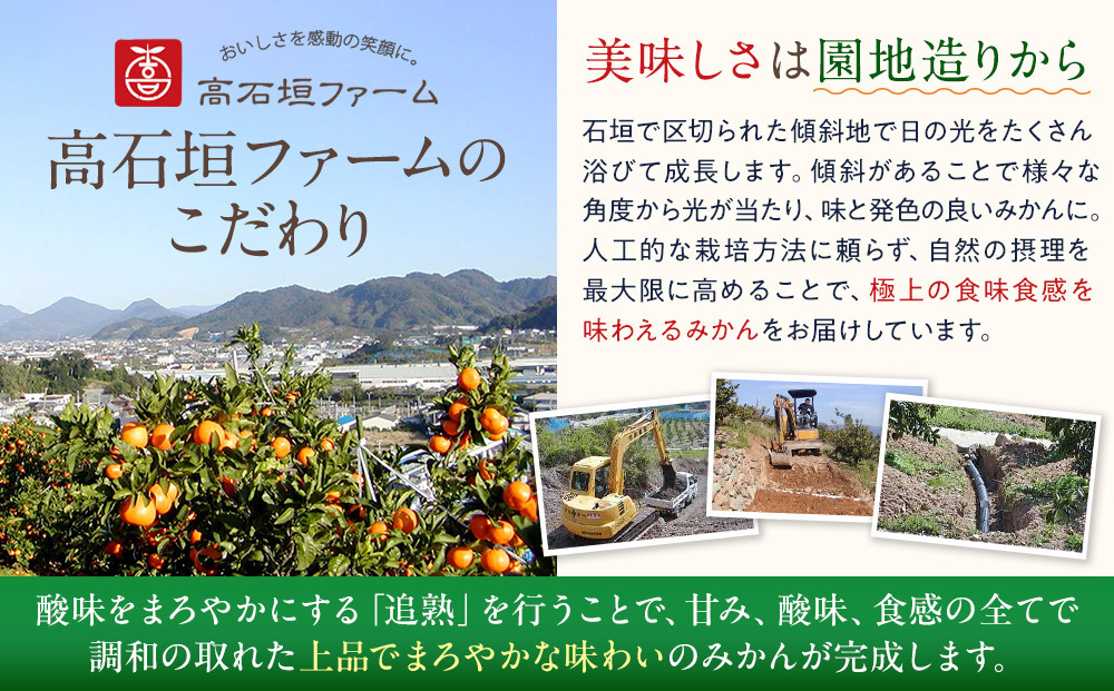 訳あり 春峰 1kg M～2Lサイズおまかせ 高石垣ファーム