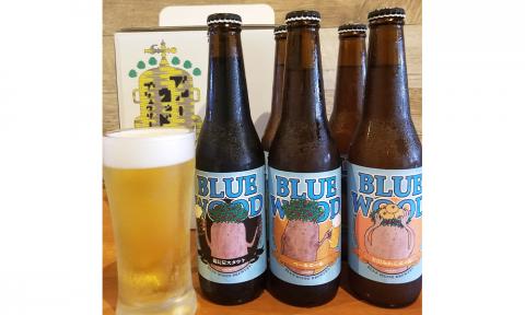 【定期便全12回】和歌山の地ビールブルーウッドブリュワリー飲み比べ6本セット