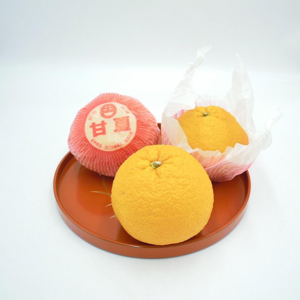 和歌山県産 田口の甘夏 秀品 10キロ 2Ｌ～3Ｌ（約23～21玉） サイズおまかせ