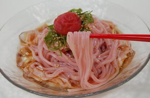 丸ざる梅うどん　８食