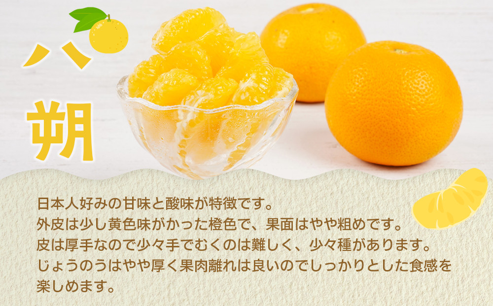 【産地直送】☆八朔☆サイズ混載（M～２L）☆9kg
