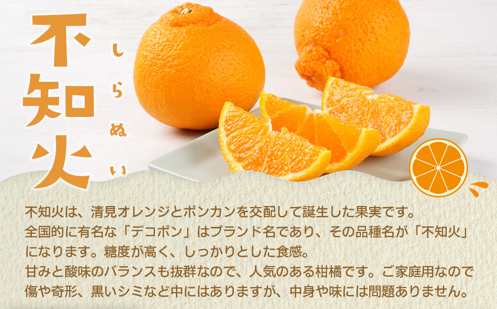 【産地直送】☆不知火☆家庭用☆約10kg