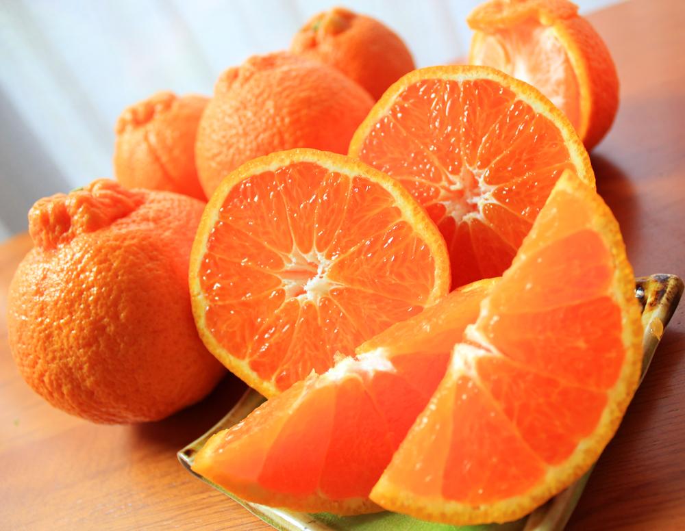 紀州有田産不知火(しらぬひ) 約５kg［2026年2月中旬以降発送］［先行予約］［UT40w］