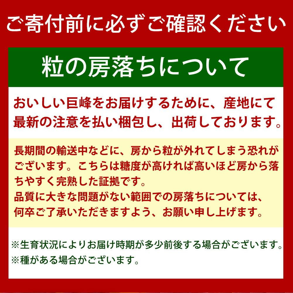 紀州有田産の巨峰ぶどう約2kg【先行予約】【2025年8月下旬以降発送予定】