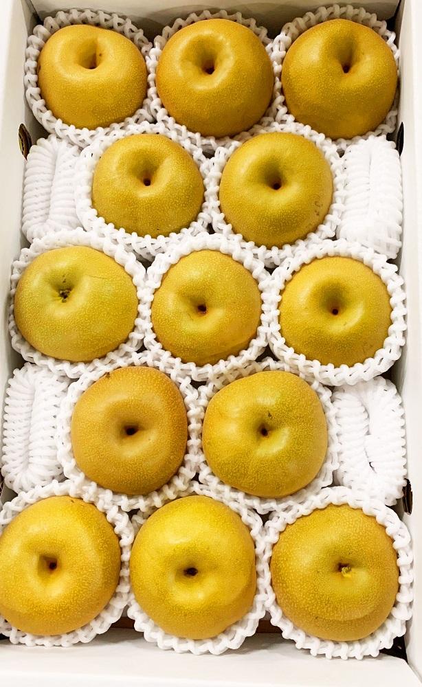 ジューシー果汁の紀州有田産の梨約４kg 　化粧箱入【先行予約】【2025年8月下旬以降発送予定】