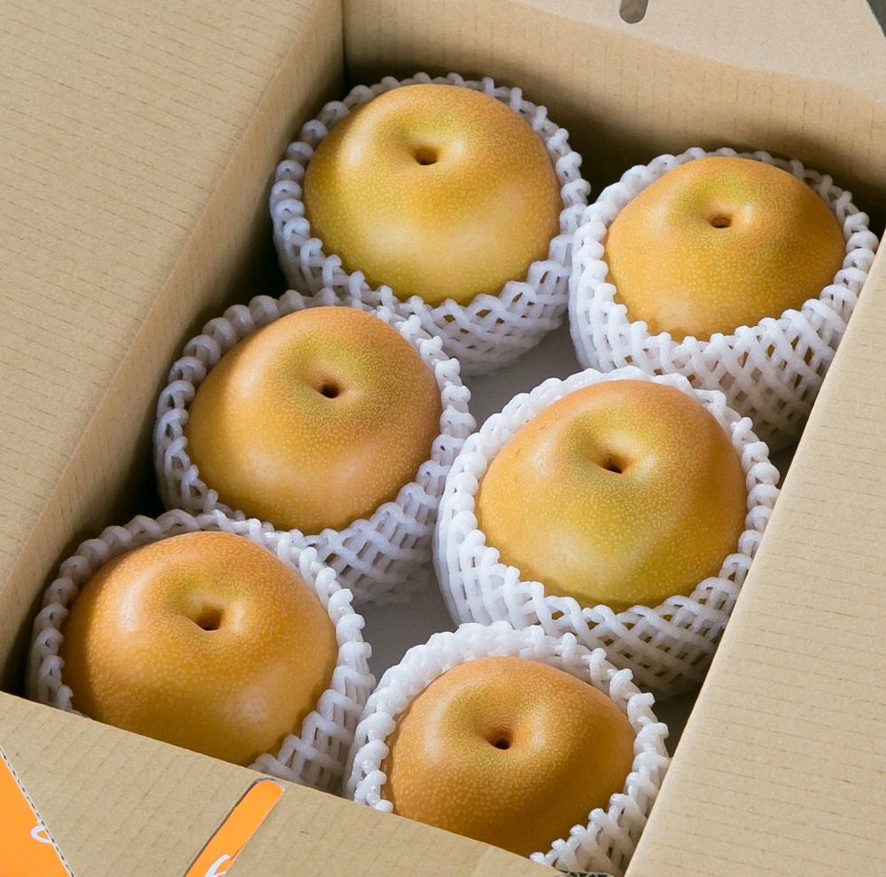 ジューシー果汁の紀州有田産の梨約２kg 　化粧箱入【先行予約】【2025年8月下旬以降発送予定】