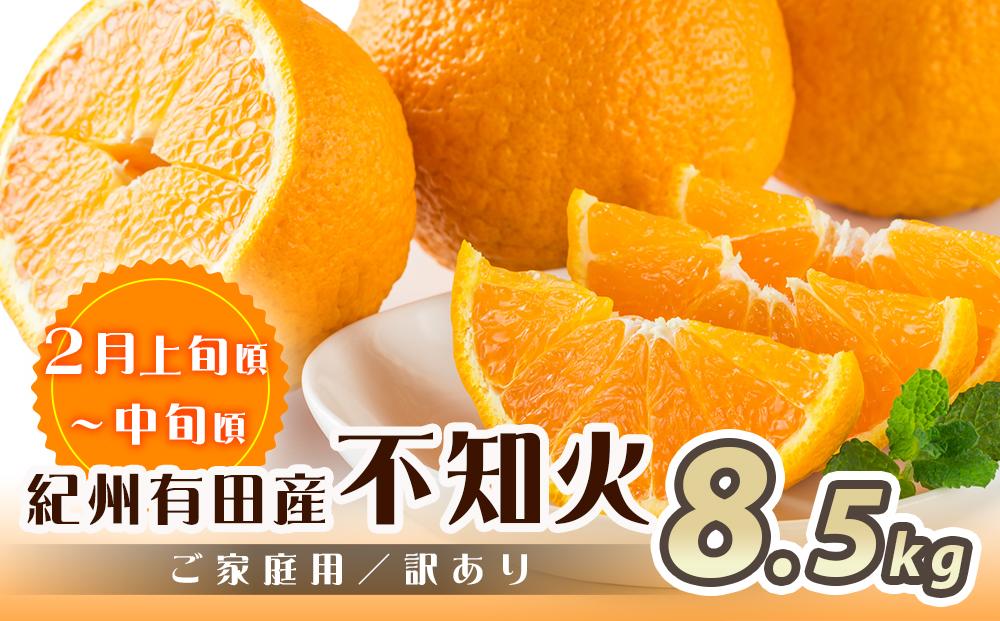 【魚鶴商店厳選】和歌山人気の柑橘ご家庭用・訳あり定期便（みかん・不知火・清見オレンジ）【定期便全3回】【UT117w】