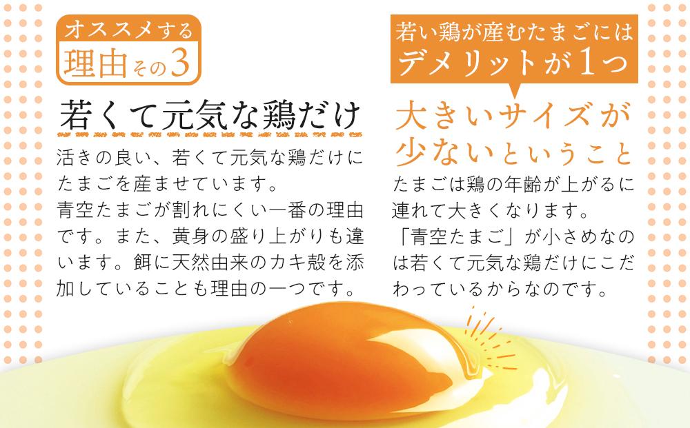 有田の青空たまご ササキのたまご Mサイズ 30個入