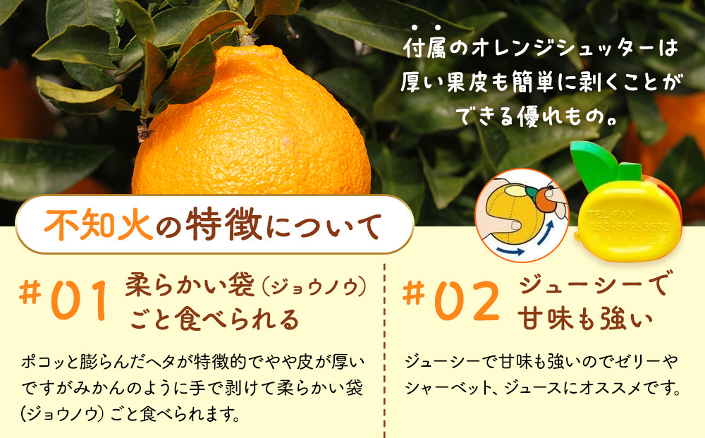 不知火 訳あり それでも 有田の不知火 箱込 5kg(内容量約 4.4kg) サイズミックス 和歌山県産 産地直送［みかんの会］