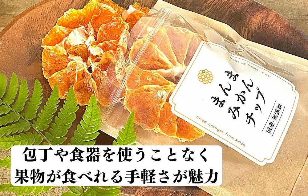 ドライフルーツ みかんチップ 100g ( 20g × 5袋 ) 和歌山県産 果物使用 自社製造 【みかんの会】