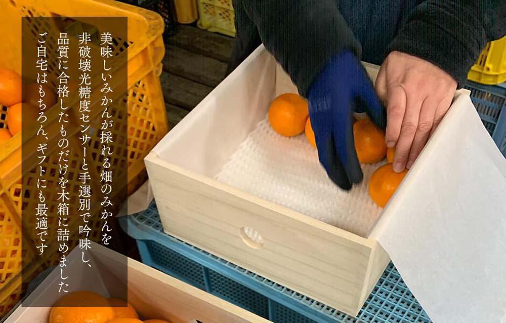 みかん めっちゃうまいんじゃ 木箱入 約3kg （内容量2.3kg）みかんの会厳選 特選品 M S 2S サイズのいずれか 和歌山県産 産地直送 S品 贈答用 ［2025年11月中旬より2026年1月中旬頃順次出荷予定］［みかんの会］