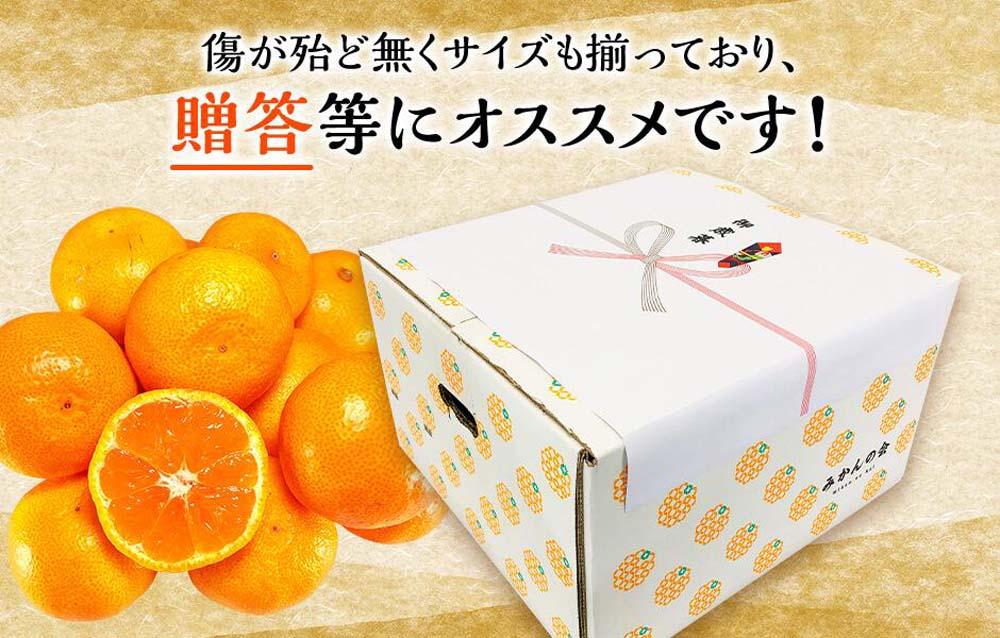 みかん Ｍサイズ 秀品 箱込 7.5kg (内容量約 6.8kg) 有田みかん 和歌山県産 産地直送 贈答用 ［2025年11月中旬より2026年1月中旬頃順次出荷予定］［みかんの会］