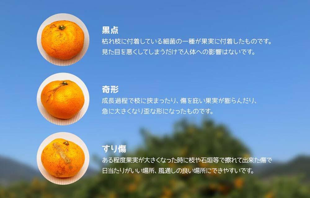 みかん 大玉 どっこいしょ 箱込 10kg ( 内容量約 9.2kg ) 2Lサイズ以上 秀品 優品 混合 有田みかん 和歌山県産 産地直送 家庭用［2025年11月中旬より2026年1月中旬頃順次出荷予定］［みかんの会］