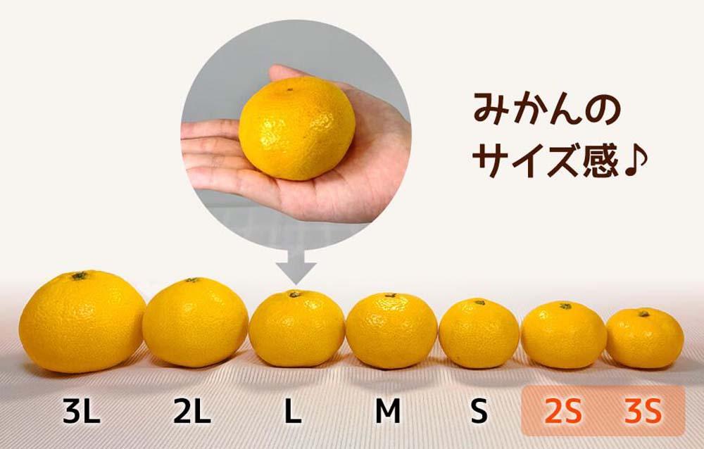 小玉みかん 極早生 箱込 7.5kg (内容量約 6.8kg) 2Sサイズ以下 秀品 優品 混合 有田みかん 和歌山県産 【みかんの会】　