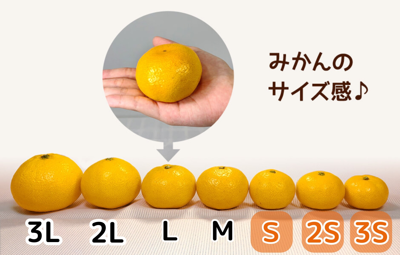 ゆら早生 みかん 小玉ちゃん 箱込5kg(内容量 4.4kg)3S～Sサイズ混合 秀優混合 有田みかん 和歌山県産 【みかんの会】［2026年10月下旬頃より順次発送予定］