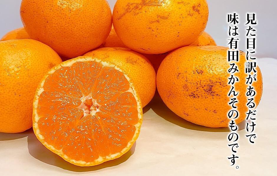 ［先行予約］訳あり それでも 熟成みかん 箱込10kg ( 内容量 9.2kg ) サイズミックス Ｂ品 有田みかん 和歌山県産 産地直送 家庭用 【みかんの会】