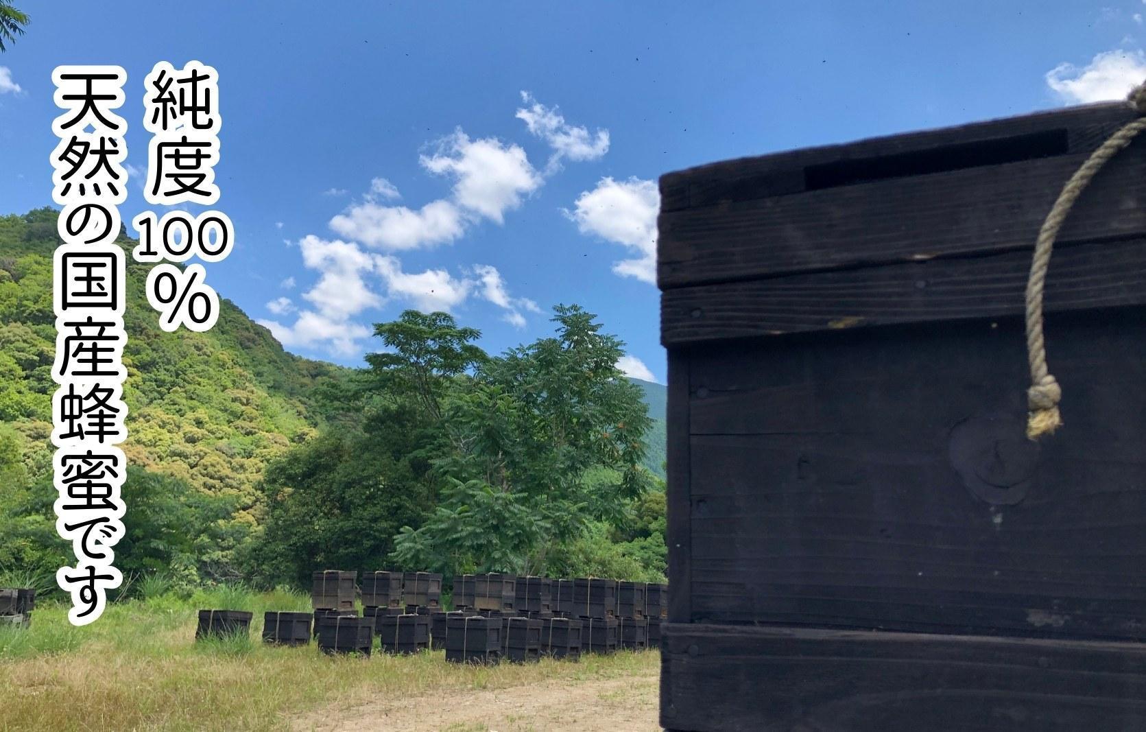 【母の日ギフト】有田のはちみつセット（みかん蜂蜜210g 百花蜂蜜210g 各1本）和歌山県産 産地直送【みかんの会】