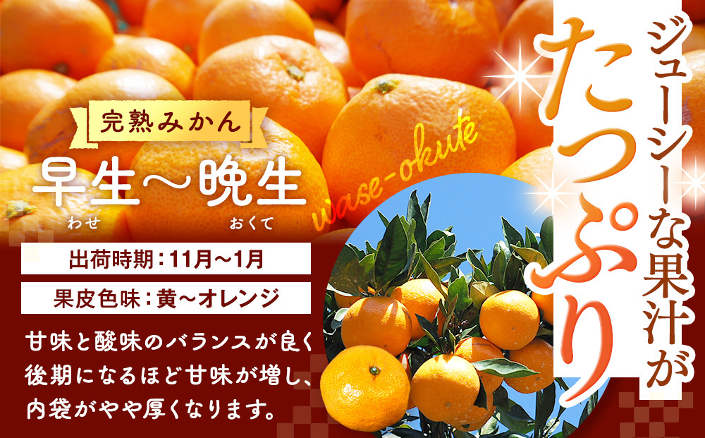 みかん 山から直送 箱込 約1kg(内容量約 0.9kg) サイズミックス 和歌山県産 産地直送 家庭用［2025年11月中旬より2026年1月中旬頃順次出荷予定］［みかんの会］