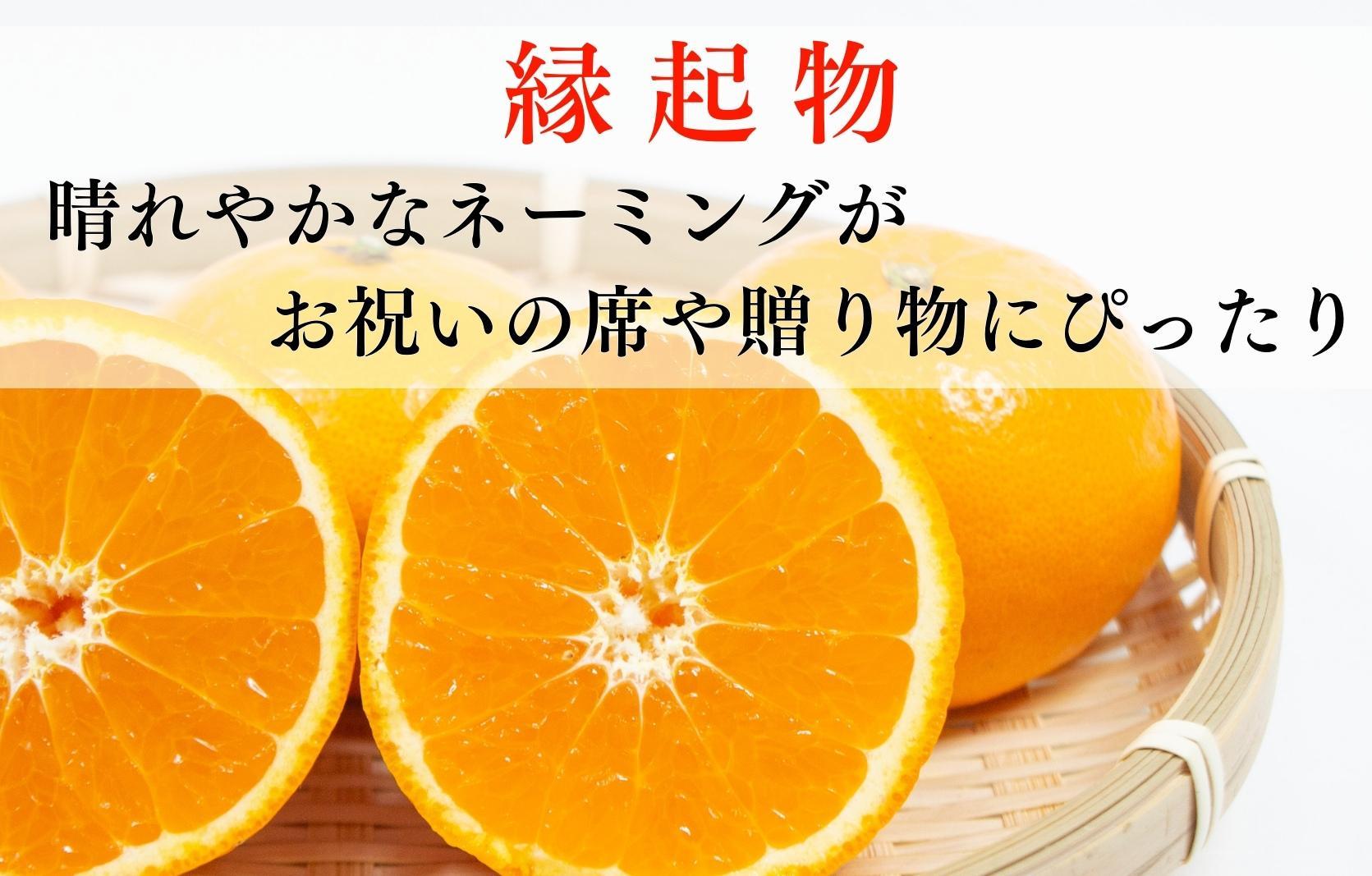 はれひめ みかん 箱込 2.5kg（内容量約 2.3kg） 秀品 優品 混合 サイズミックス 和歌山県産 産地直送【みかんの会】