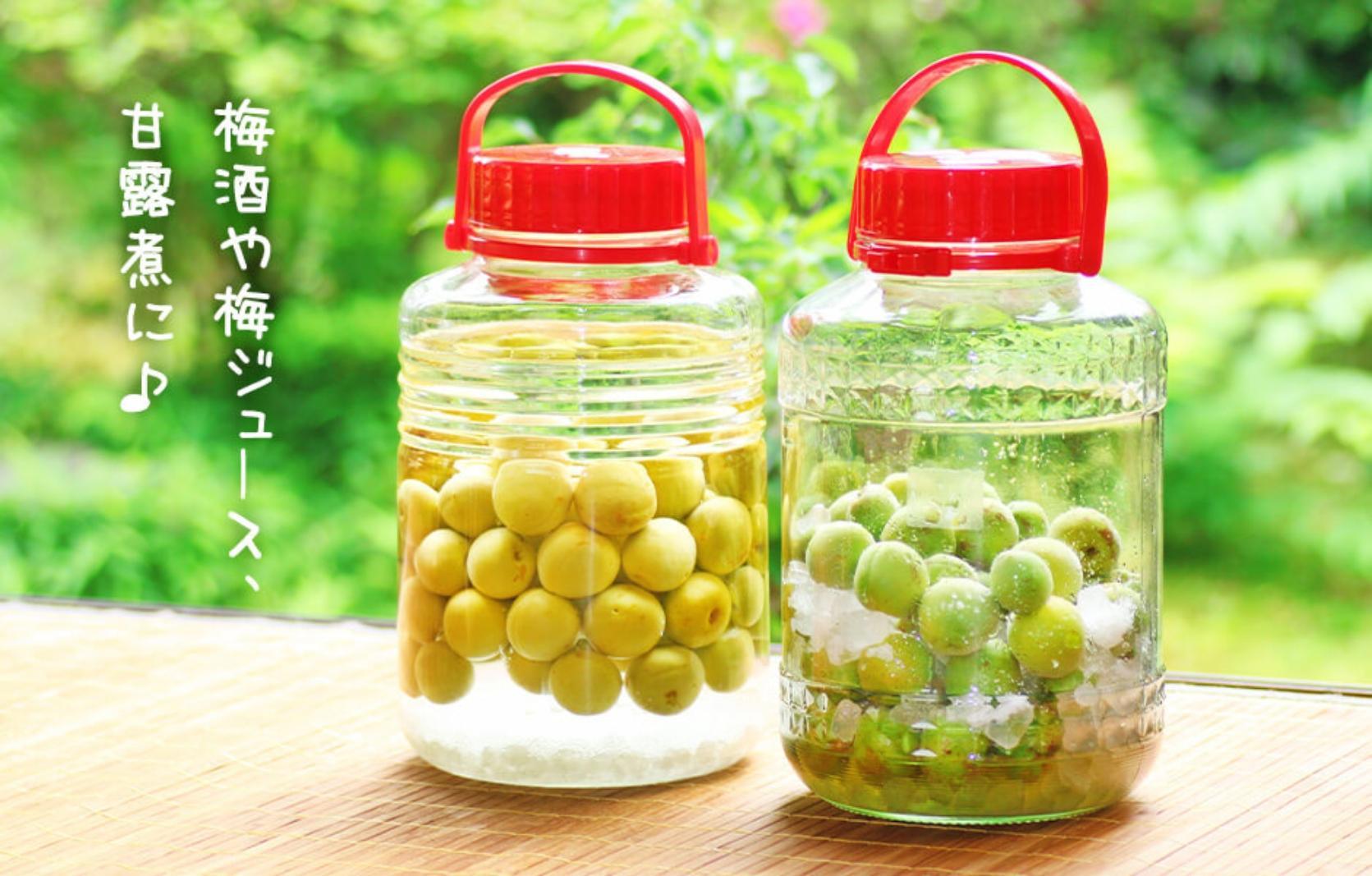 ［2026年6月上旬出荷］ 青梅 南高梅 約1kg 秀品 サイズミックス  和歌山県産 A品 梅酒作り用 梅ジュース作り用