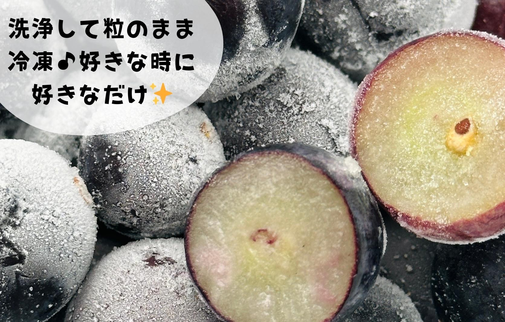 冷凍 種あり 巨峰 約1kg 秀優混合 サイズミックス 和歌山県産 産地直送 ぶどう クール便  【みかんの会】