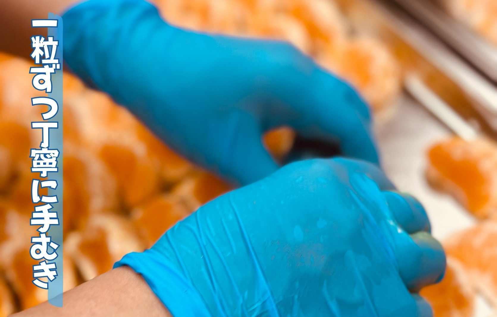 冷凍 不知火 （しらぬい） 70g × 5袋 ひとくちデザート カチウマ スイーツ 果物 旬の味わい 和歌山県産不知火100%