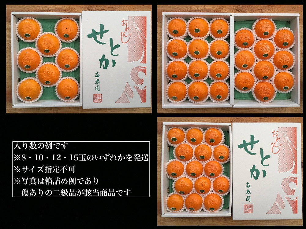 ちょっと 傷あり 柑橘の大トロ ハウス せとか 8 ～ 15玉入 化粧箱 南泰園