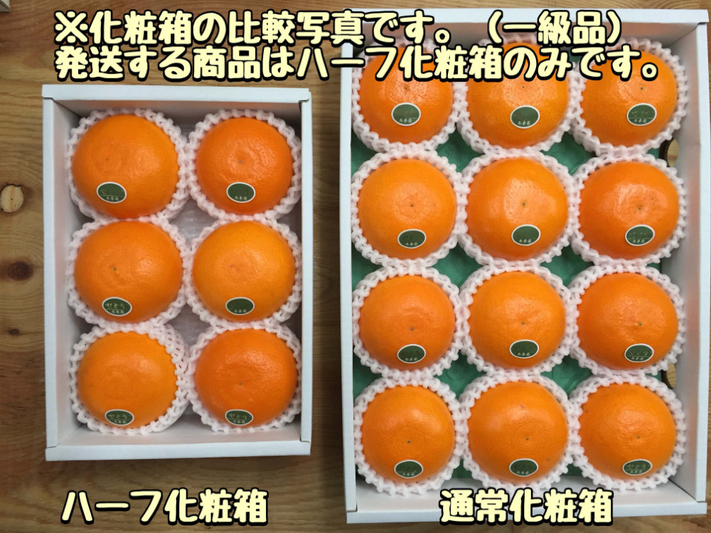 ［2箱セット］ハーフ 化粧箱 柑橘の大トロ ハウス せとか 厳選 6玉入 × 2箱 南泰園