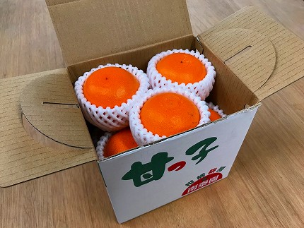 甘っ子 小玉 ハウス せとか 9玉入 手さげ箱 南泰園