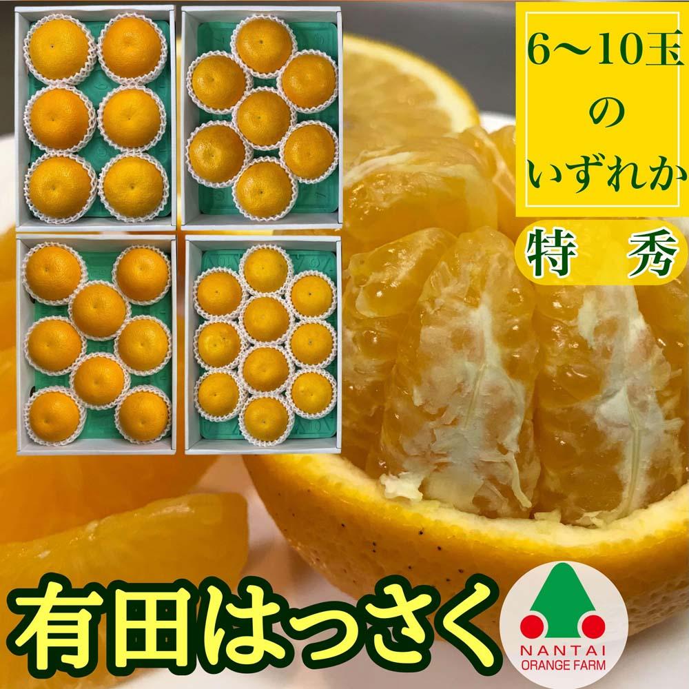 定期便 貯蔵 はっさく ＆ ハウス せとか 全2回 南泰園 特秀 セット みかん