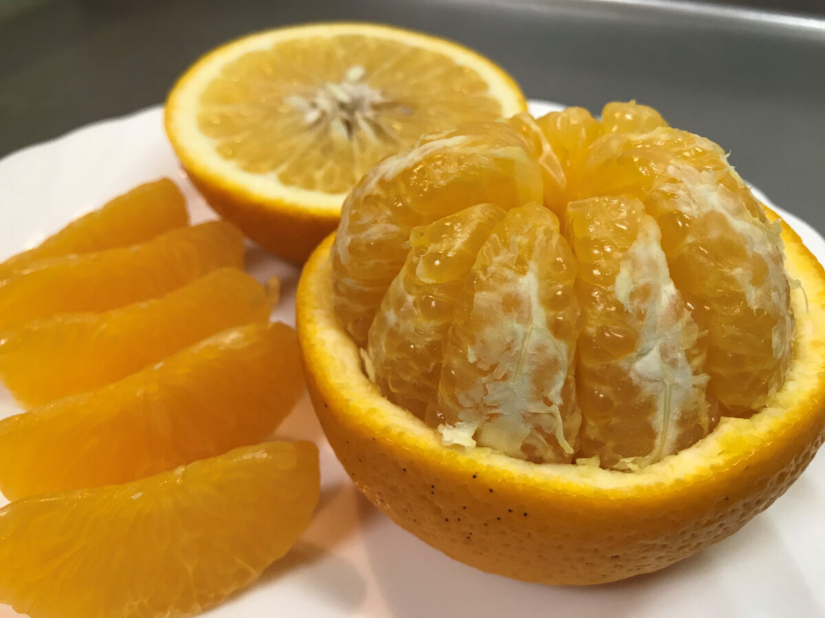 ちょっと 傷あり 4月 まで 木成 完熟 させた 有田 はっさく 2L ～ M ( 4玉 ～ 6玉 ) 手さげ箱 ムッキー 同梱 南泰園 みかん