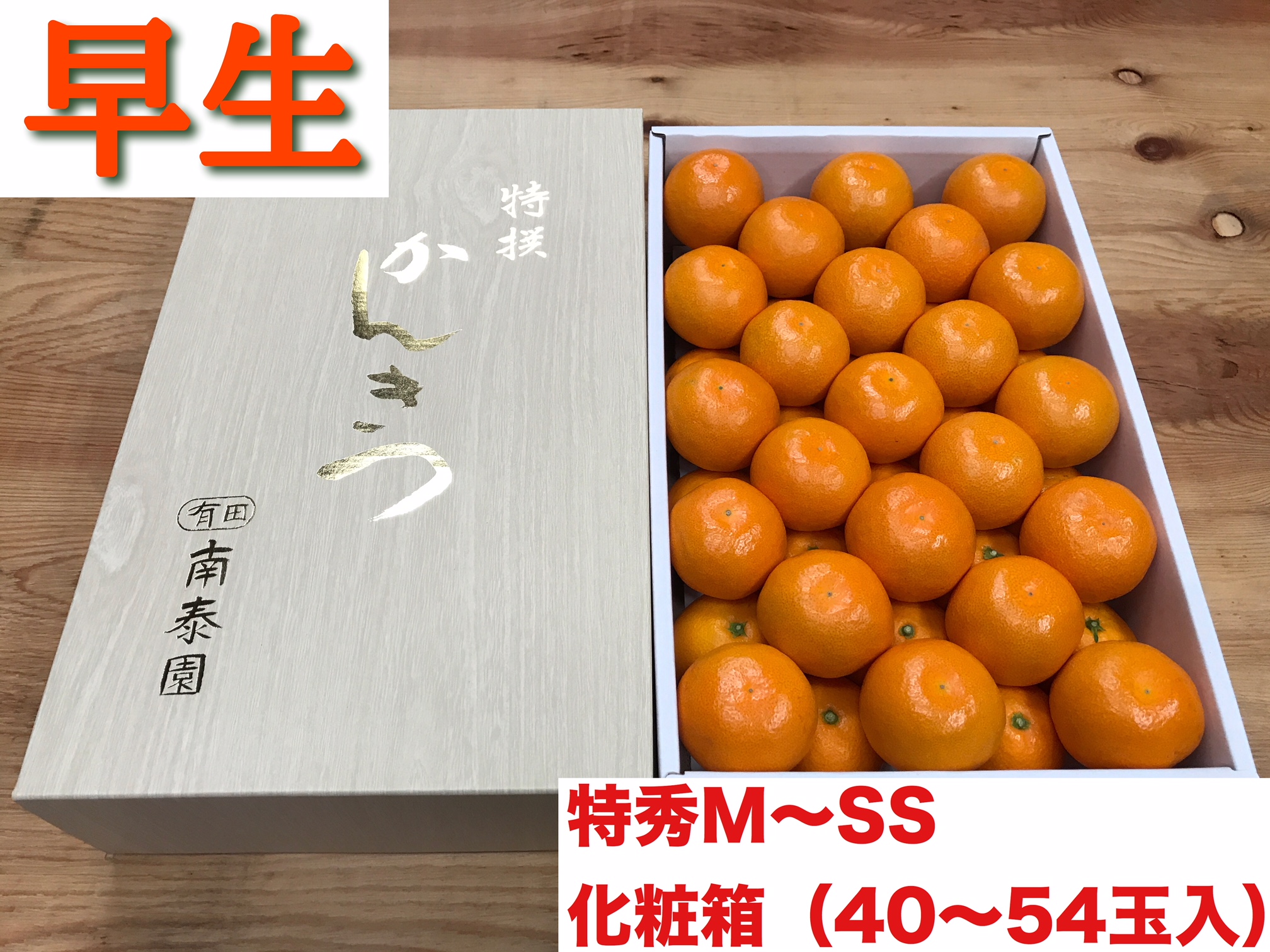 頒布会 有田かんきつ 定期便 7ヶ月間 南泰園 みかん