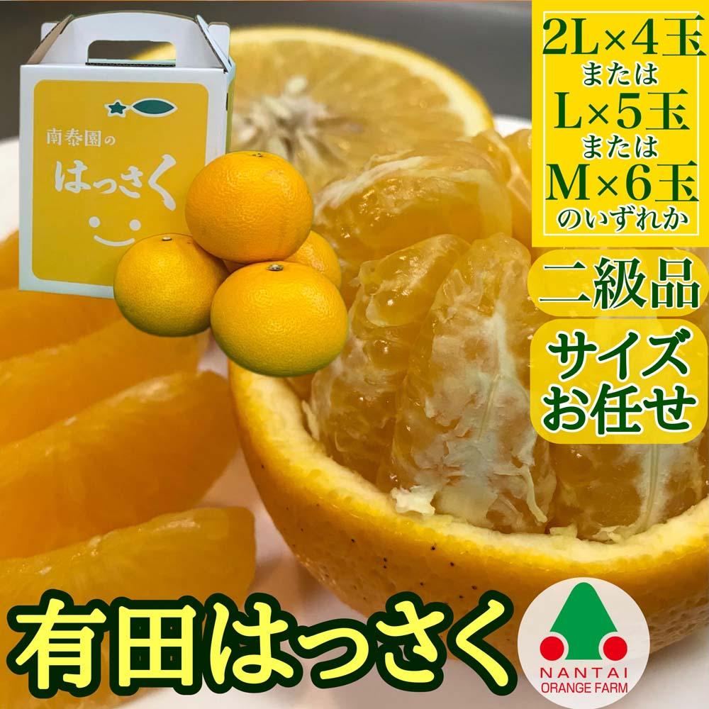 定期便 手さげ箱 セット 極早生 有田みかん ＆ はっさく 全2回 南泰園 みかん