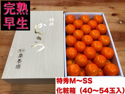 定期便 先行受付 2026年 10月発送スタート 有田みかん 食べくらべ 3種 化粧箱 各約 3kg 全3回 南泰園