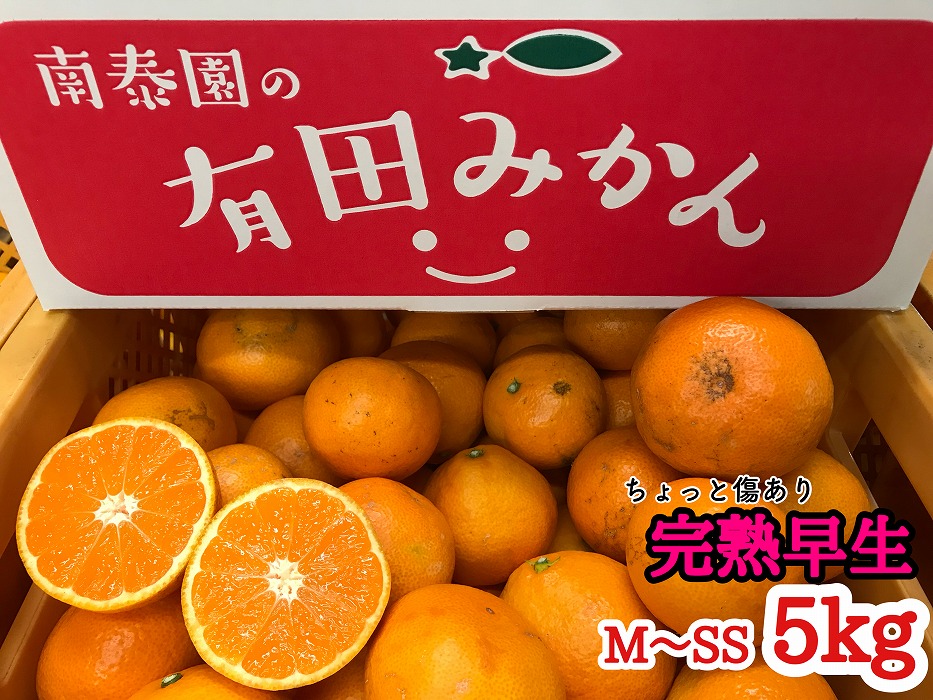 定期便 先行受付 2025年 10月発送スタート 有田みかん 食べくらべ 3種 ちょっと傷あり 5kg × 3回 コース 南泰園