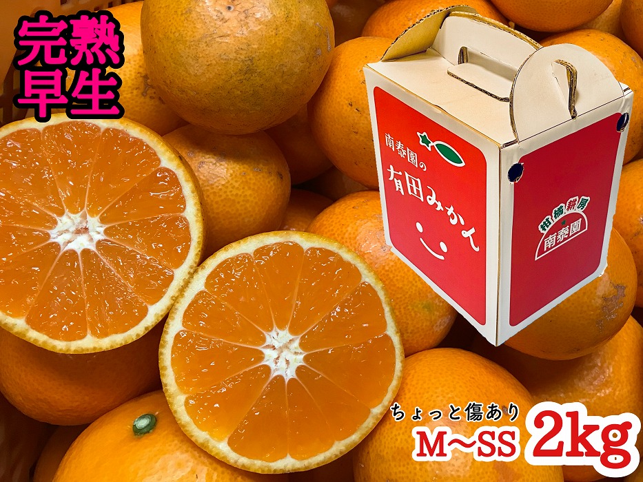定期便 先行受付 2025年 10月発送スタート ちょっと 傷あり 2kg × 3回 コース 有田みかん 食べくらべ 3種 南泰園