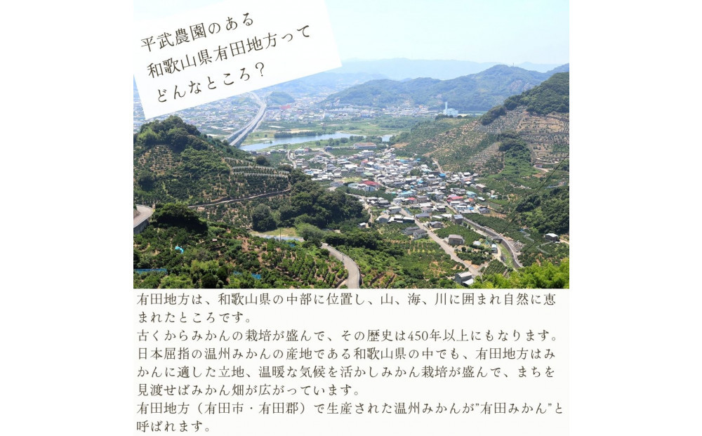 農家直送！きよみオレンジ 3kg 訳あり≪サイズ混合≫［平武農園］～蛍飛ぶ町から旬の便り～［2026年3月下旬から順次発送予定］